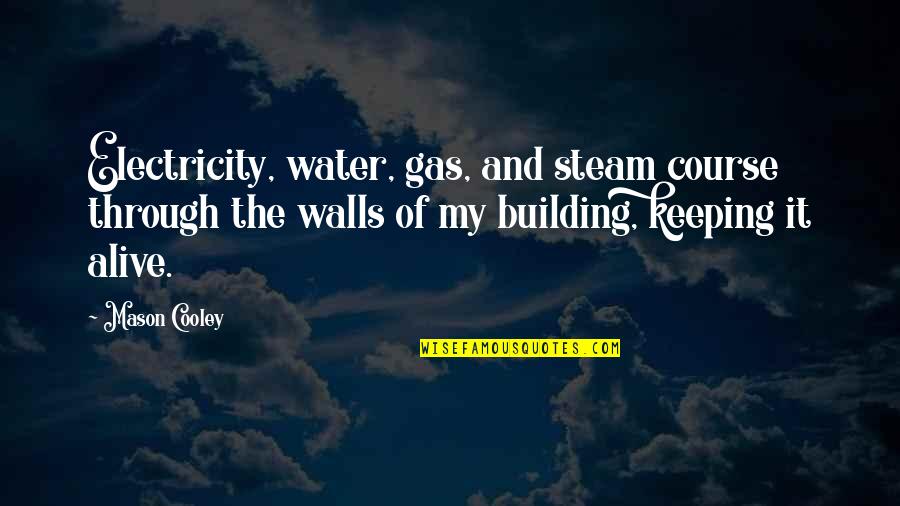 Building Up Walls Quotes By Mason Cooley: Electricity, water, gas, and steam course through the