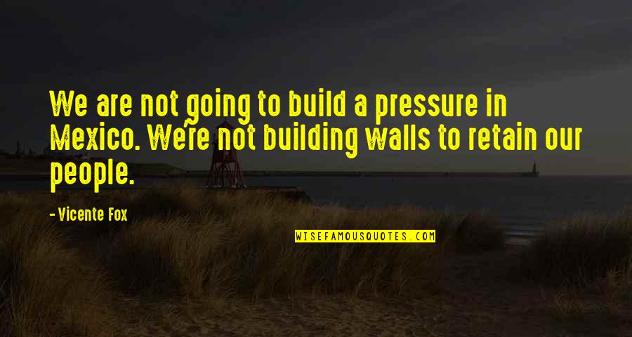 Building Up Walls Quotes By Vicente Fox: We are not going to build a pressure