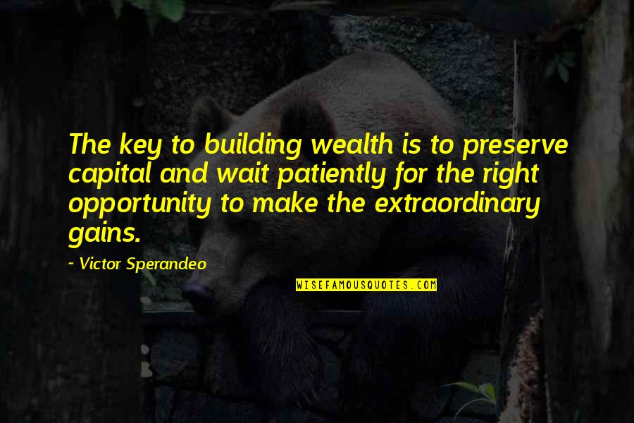 Building Wealth Quotes By Victor Sperandeo: The key to building wealth is to preserve