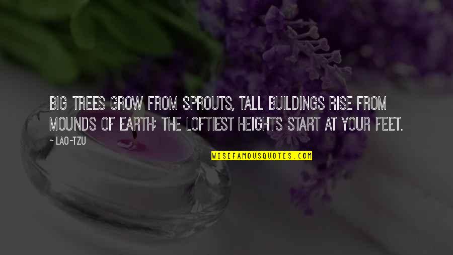 Buildings And Trees Quotes By Lao-Tzu: Big trees grow from sprouts, tall buildings rise