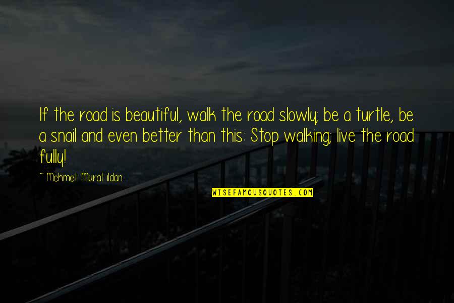 Buildings And Trees Quotes By Mehmet Murat Ildan: If the road is beautiful, walk the road
