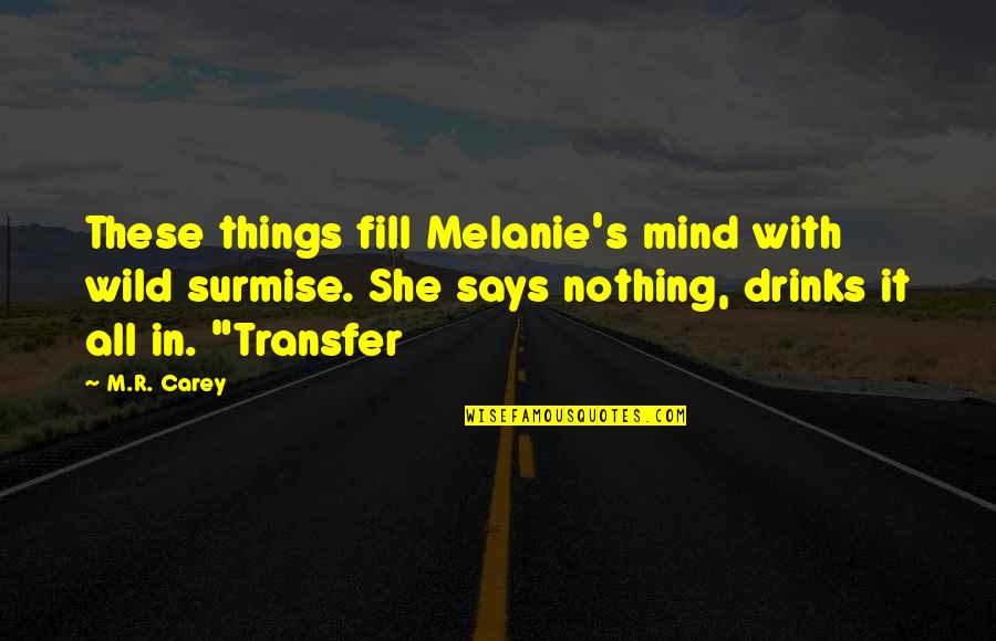 Buildng Quotes By M.R. Carey: These things fill Melanie's mind with wild surmise.