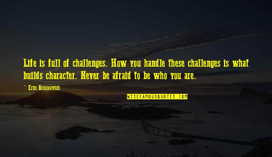 Builds Character Quotes By Erin Brockovich: Life is full of challenges. How you handle