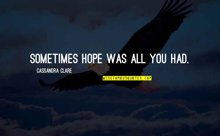 Builts Banquets Quotes By Cassandra Clare: Sometimes hope was all you had.