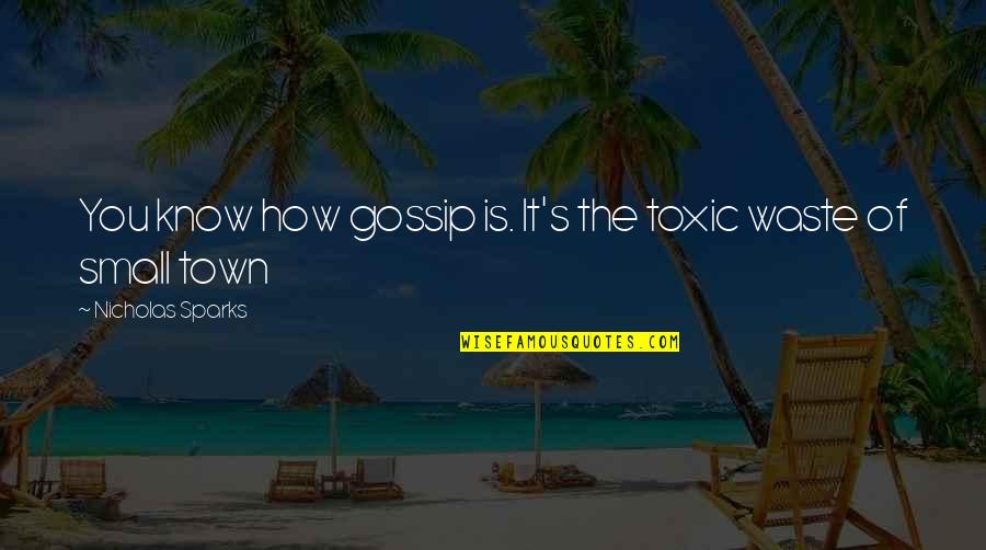 Bujet Air Quotes By Nicholas Sparks: You know how gossip is. It's the toxic