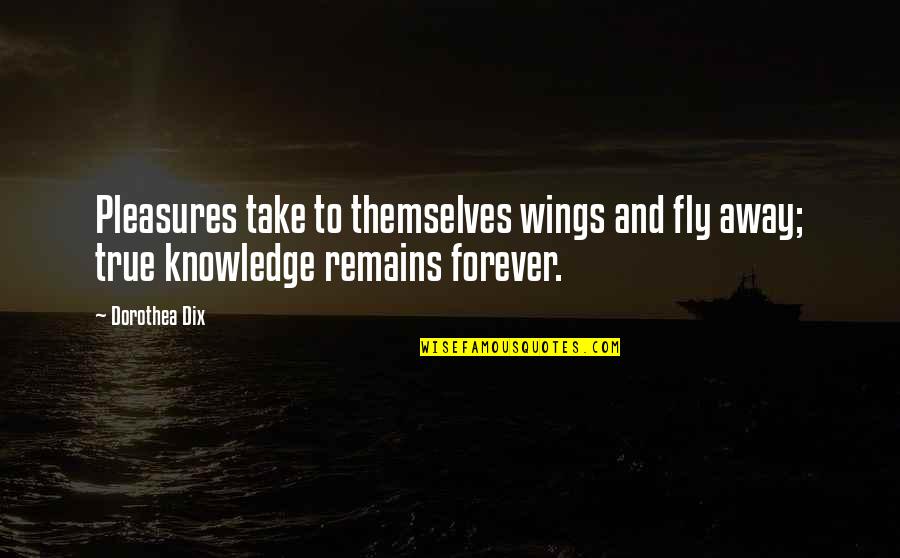 Buka Quotes By Dorothea Dix: Pleasures take to themselves wings and fly away;