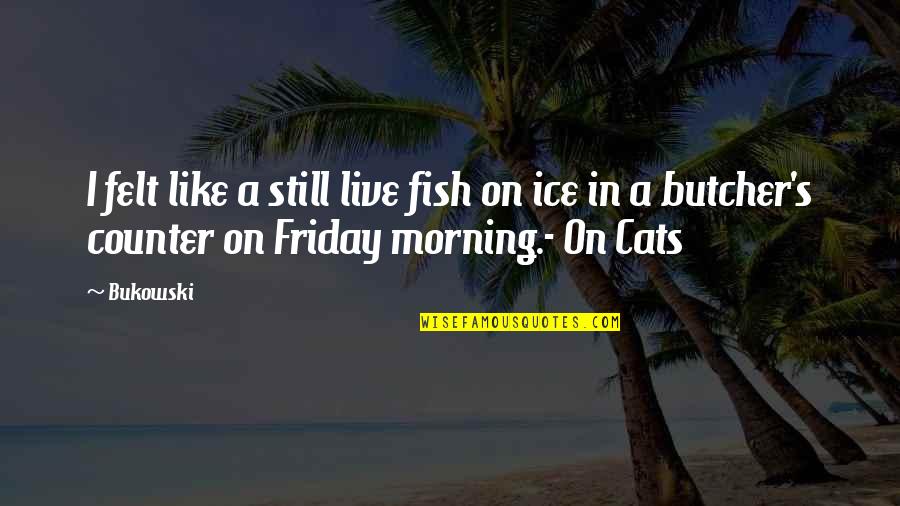 Bukowski Cats Quotes By Bukowski: I felt like a still live fish on