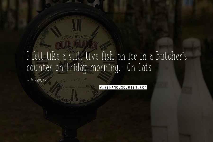 Bukowski quotes: I felt like a still live fish on ice in a butcher's counter on Friday morning.- On Cats