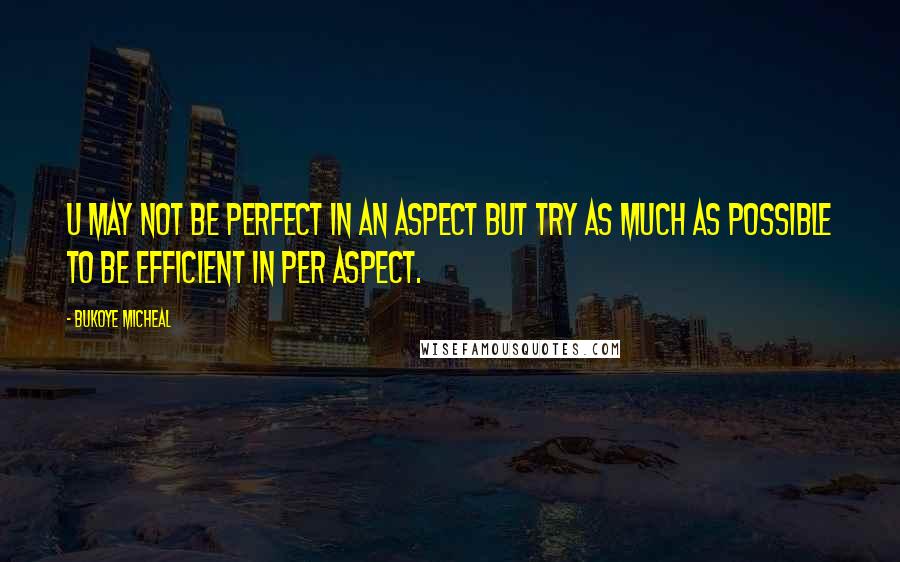 Bukoye Micheal quotes: U may not be perfect in an aspect but try as much as possible to be efficient in per aspect.