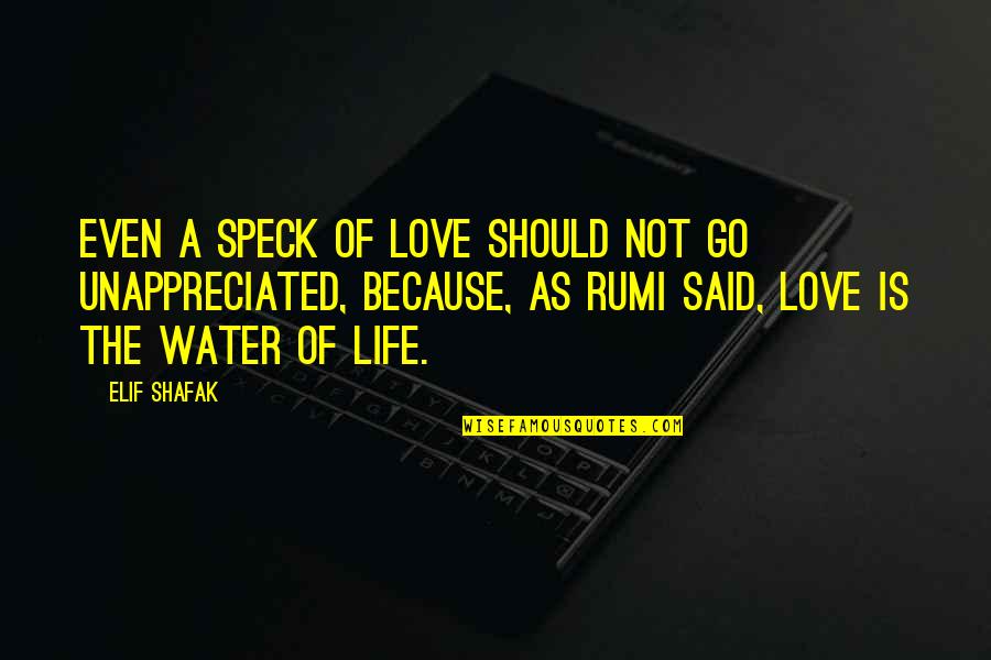Bulan Puasa Quotes By Elif Shafak: Even a speck of love should not go