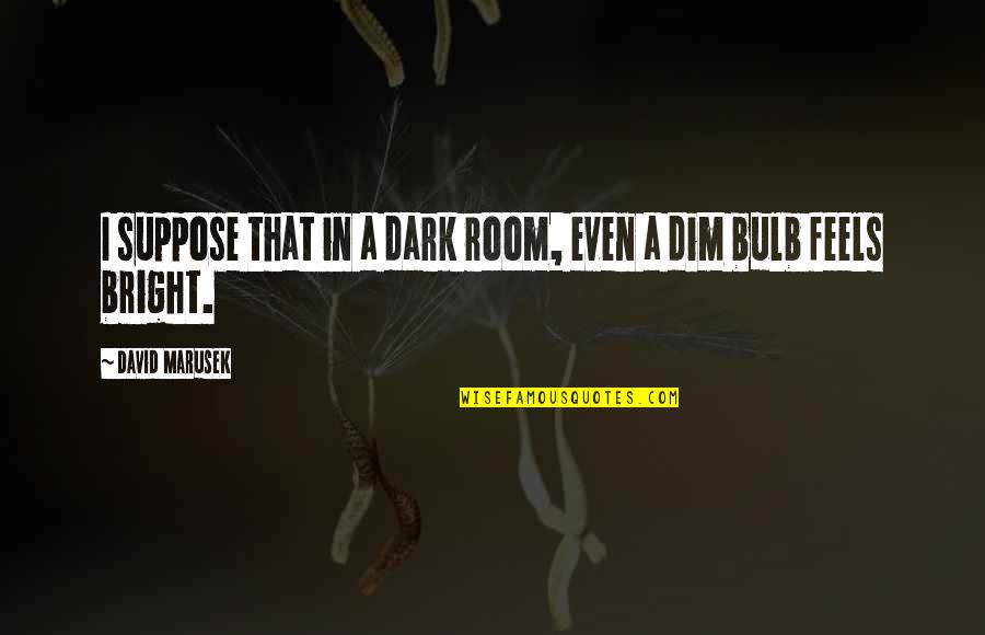 Bulb Quotes By David Marusek: I suppose that in a dark room, even
