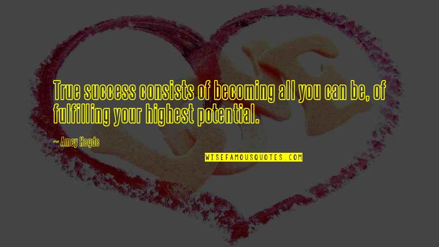 Bulcasil Quotes By Amey Hegde: True success consists of becoming all you can