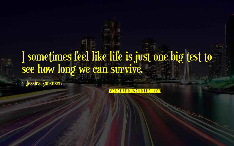 Bulelwa Quotes By Jessica Sorensen: I sometimes feel like life is just one
