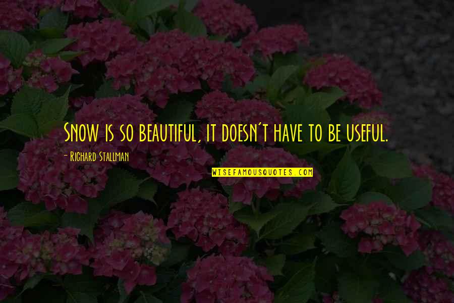 Bulelwa Quotes By Richard Stallman: Snow is so beautiful, it doesn't have to Bulelwa Quotes By Richard Stallman: Snow is so beautiful, it doesn't have to