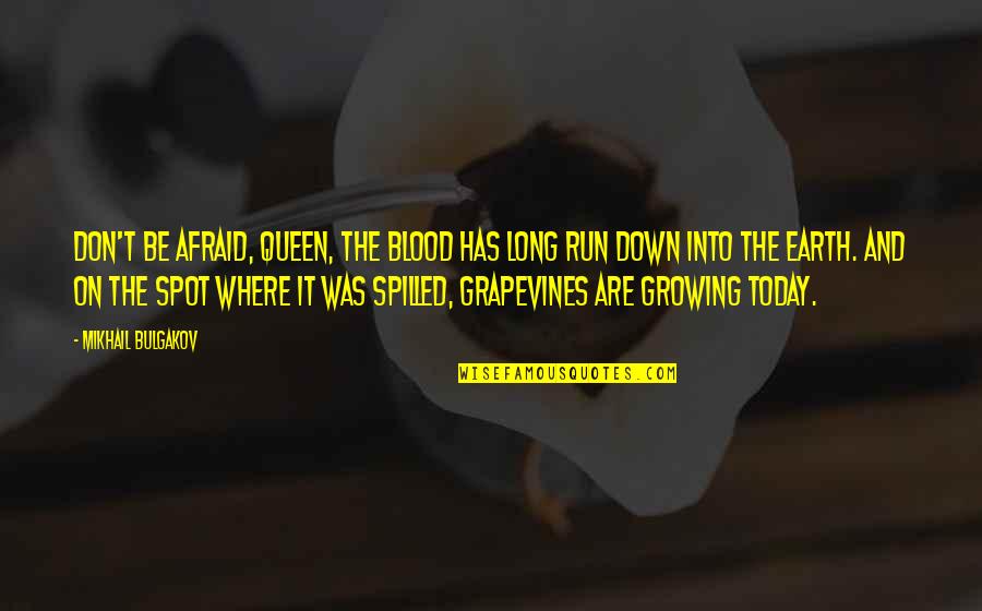 Bulgakov's Quotes By Mikhail Bulgakov: Don't be afraid, Queen, the blood has long