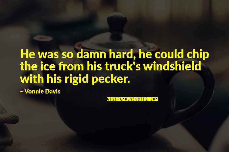 Bulkiness Quotes By Vonnie Davis: He was so damn hard, he could chip