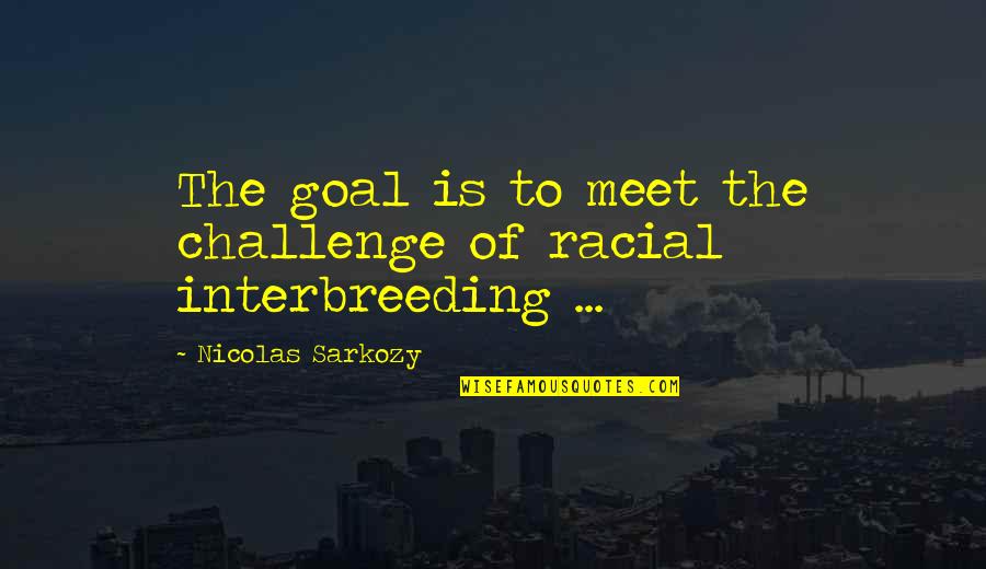 Bull And Bear Quotes By Nicolas Sarkozy: The goal is to meet the challenge of