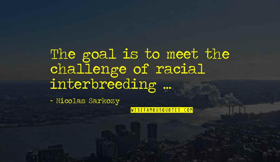 Bull And Bear Quotes By Nicolas Sarkozy: The goal is to meet the challenge of Bull And Bear Quotes By Nicolas Sarkozy: The goal is to meet the challenge of