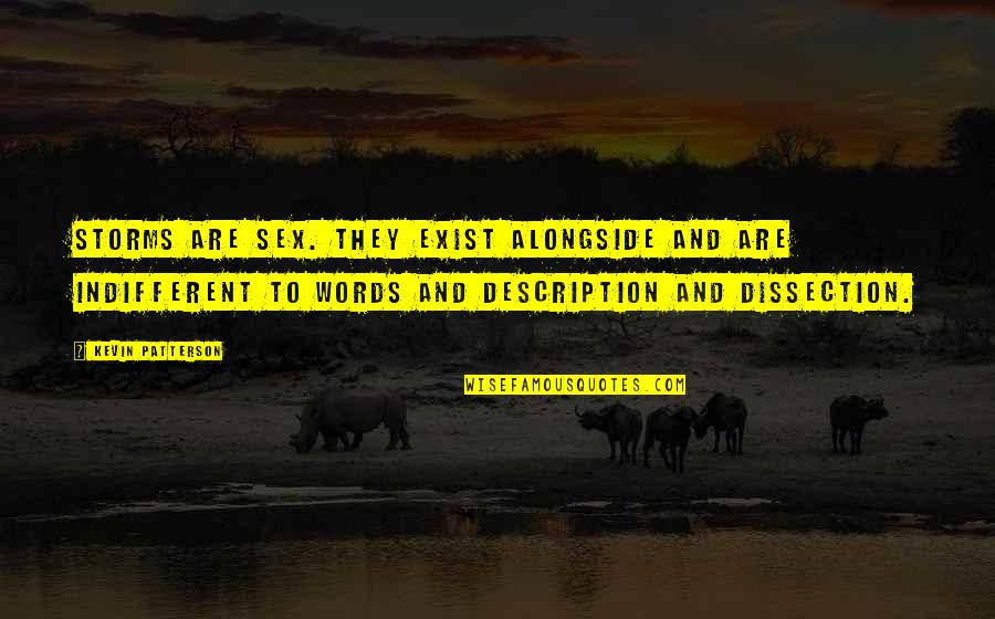 Bull Market Quotes By Kevin Patterson: Storms are sex. They exist alongside and are