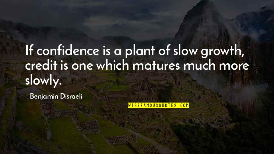 Bullamma Quotes By Benjamin Disraeli: If confidence is a plant of slow growth,