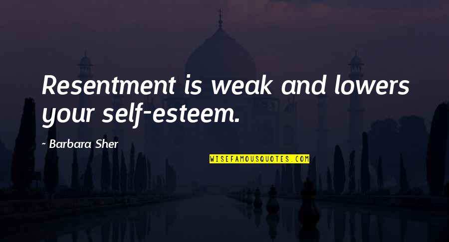 Bulldozers Quotes By Barbara Sher: Resentment is weak and lowers your self-esteem.