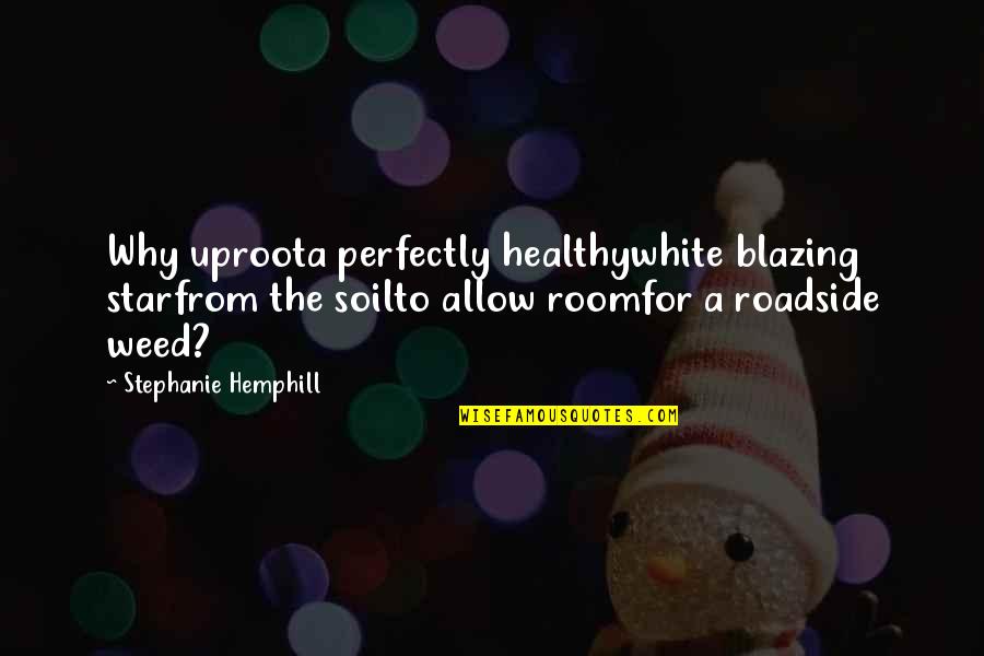 Bulles D Quotes By Stephanie Hemphill: Why uproota perfectly healthywhite blazing starfrom the soilto