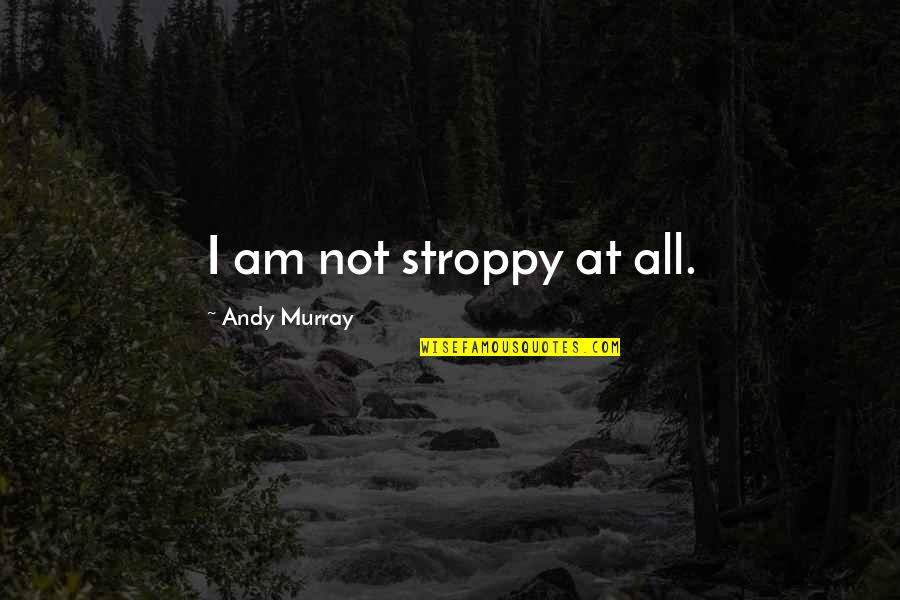 Bulletin Boards At Workplace Quotes By Andy Murray: I am not stroppy at all. Bulletin Boards At Workplace Quotes By Andy Murray: I am not stroppy at all.