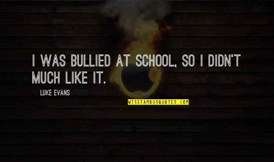 Bullied Quotes By Luke Evans: I was bullied at school, so I didn't