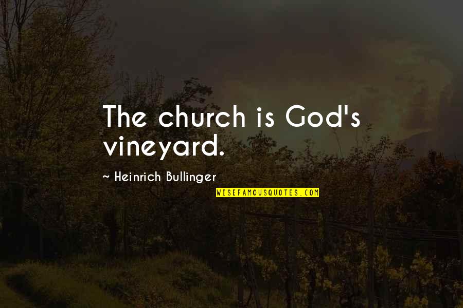 Bullinger Quotes By Heinrich Bullinger: The church is God's vineyard.