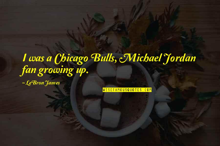 Bulls Quotes By LeBron James: I was a Chicago Bulls, Michael Jordan fan