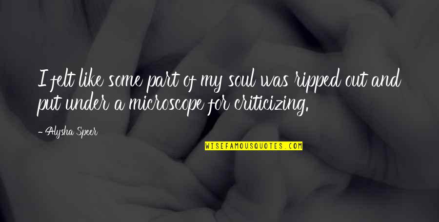 Bullseye Prize Quotes By Alysha Speer: I felt like some part of my soul