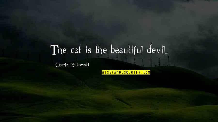 Bully Mandy Quotes By Charles Bukowski: The cat is the beautiful devil.