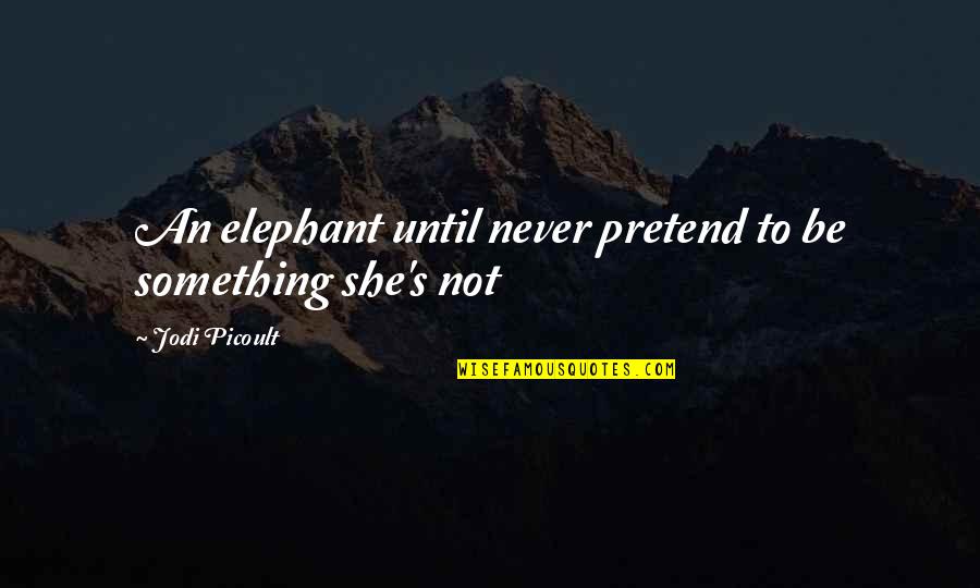 Bulrush Or Cattail Quotes By Jodi Picoult: An elephant until never pretend to be something