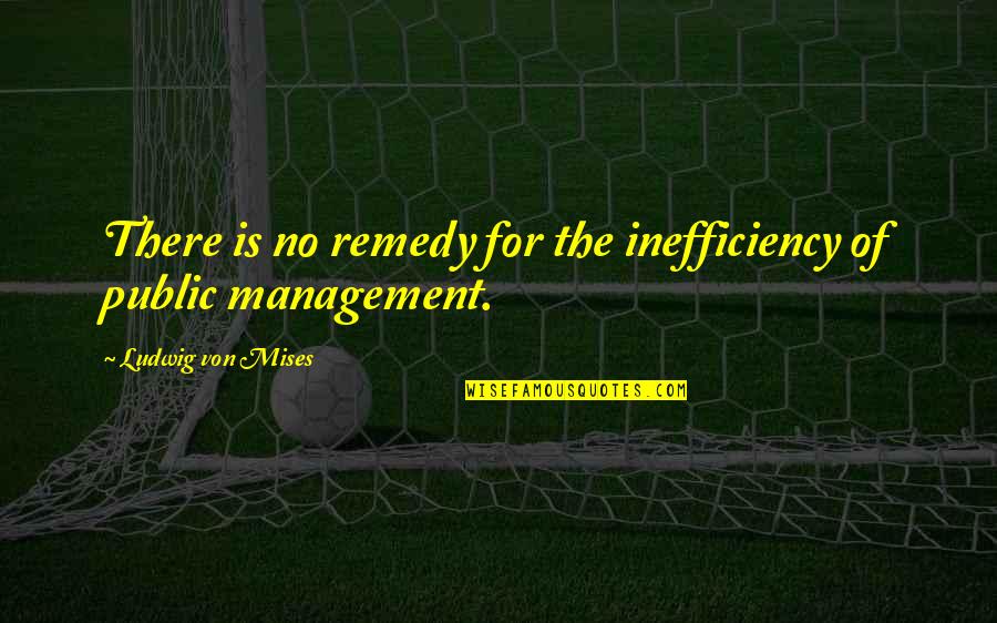 Bulthaup Corporation Quotes By Ludwig Von Mises: There is no remedy for the inefficiency of Bulthaup Corporation Quotes By Ludwig Von Mises: There is no remedy for the inefficiency of