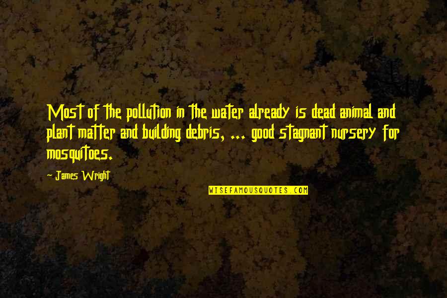 Bulunan Mumyalar Quotes By James Wright: Most of the pollution in the water already Bulunan Mumyalar Quotes By James Wright: Most of the pollution in the water already