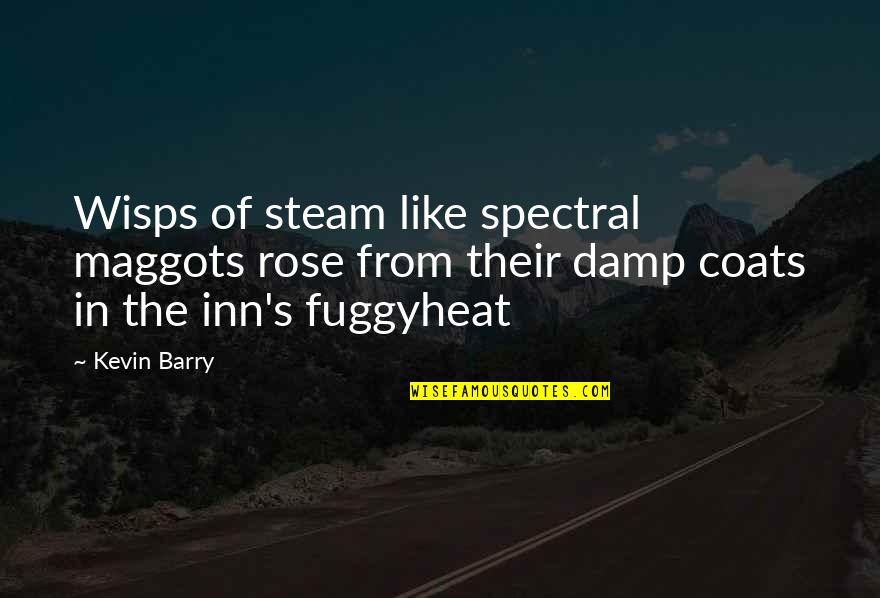 Bumajni Quotes By Kevin Barry: Wisps of steam like spectral maggots rose from