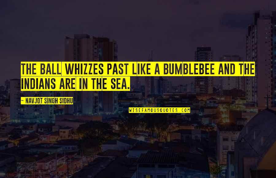 Bumblebee Quotes By Navjot Singh Sidhu: The ball whizzes past like a bumblebee and Bumblebee Quotes By Navjot Singh Sidhu: The ball whizzes past like a bumblebee and