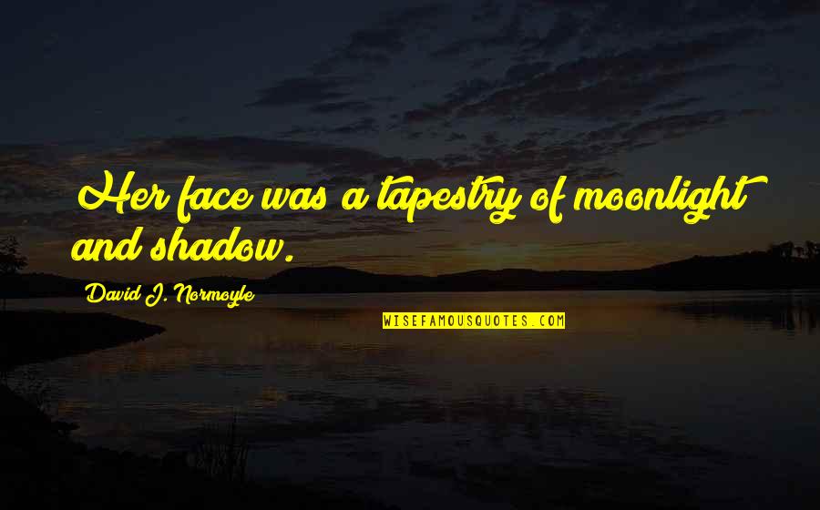 Bumerangi Quotes By David J. Normoyle: Her face was a tapestry of moonlight and Bumerangi Quotes By David J. Normoyle: Her face was a tapestry of moonlight and