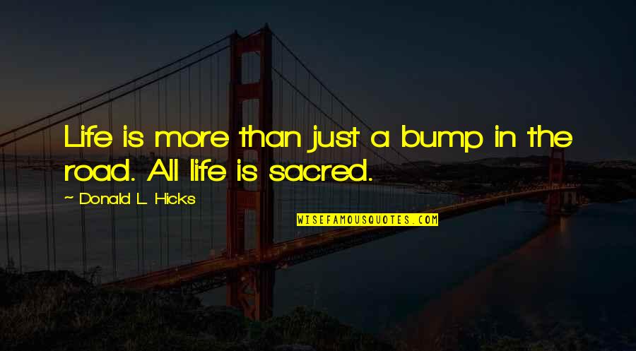 Bump Quotes By Donald L. Hicks: Life is more than just a bump in