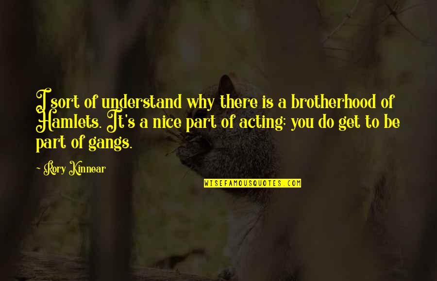 Bunatatea Indurarea Quotes By Rory Kinnear: I sort of understand why there is a