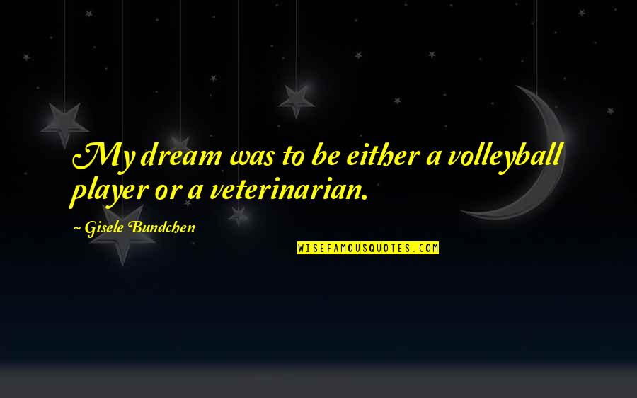 Bundchen Quotes By Gisele Bundchen: My dream was to be either a volleyball