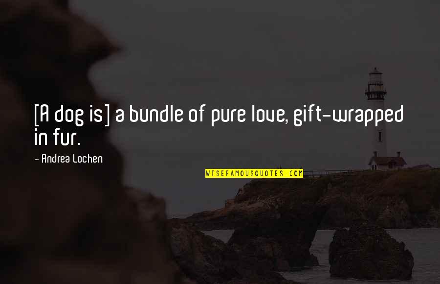 Bundle Of Love Quotes By Andrea Lochen: [A dog is] a bundle of pure love,