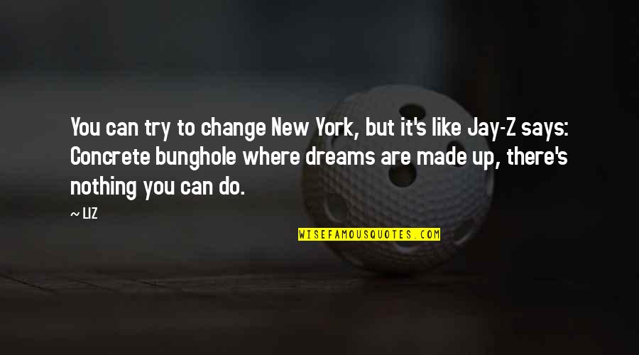 Bunghole Quotes By LIZ: You can try to change New York, but