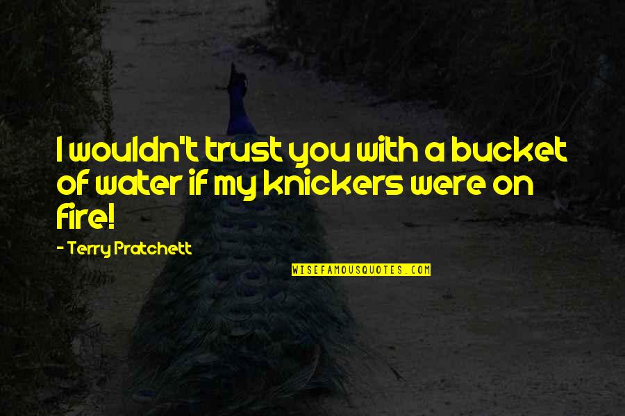 Bungholes Quotes By Terry Pratchett: I wouldn't trust you with a bucket of