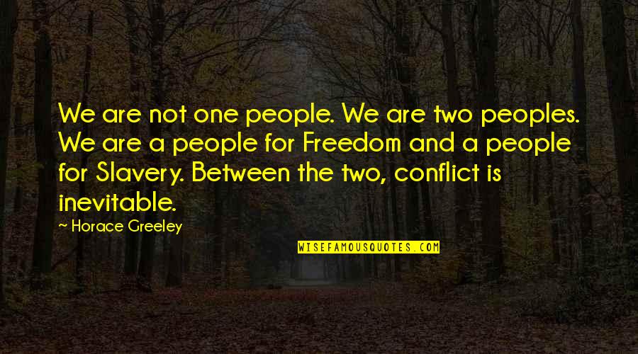 Bunky Big Quotes By Horace Greeley: We are not one people. We are two