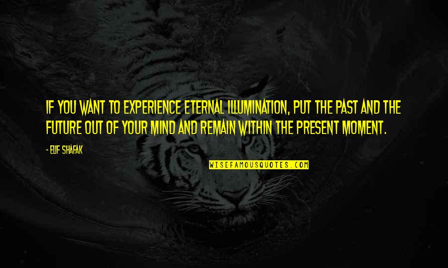 Bunny Threat Quotes By Elif Shafak: If you want to experience eternal illumination, put Bunny Threat Quotes By Elif Shafak: If you want to experience eternal illumination, put