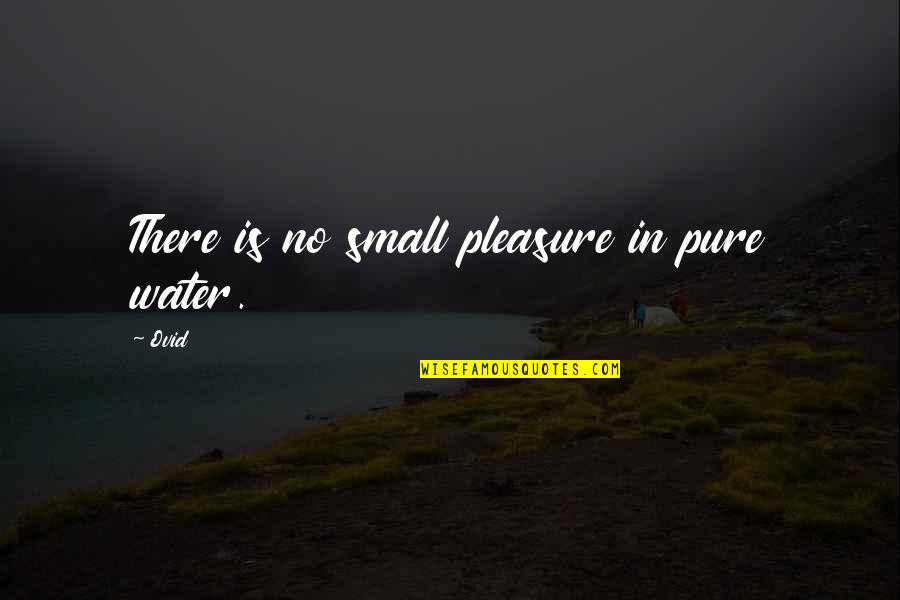 Bunyon Bros Quotes By Ovid: There is no small pleasure in pure water.