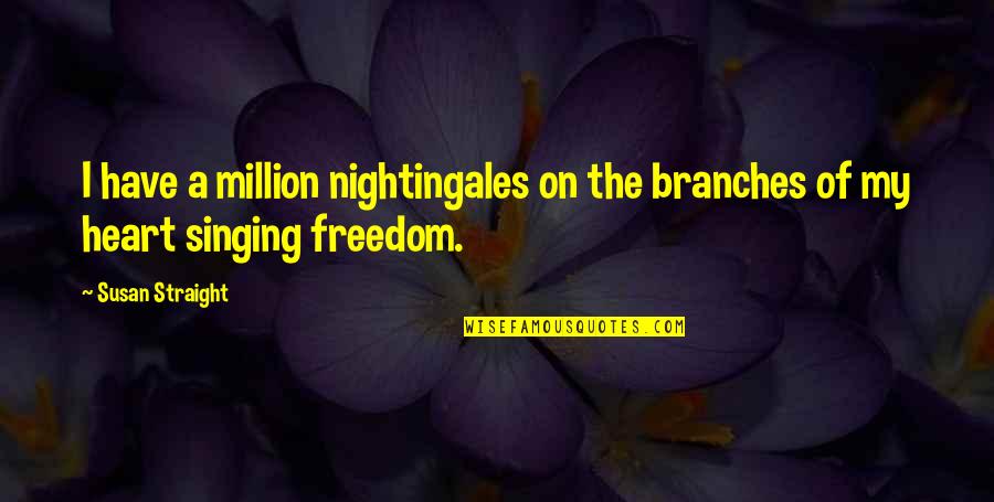 Bura Sapna Quotes By Susan Straight: I have a million nightingales on the branches