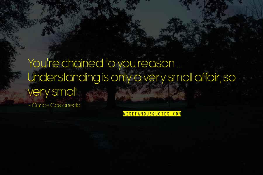 Burana Suomi Quotes By Carlos Castaneda: You're chained to you reason ... Understanding is