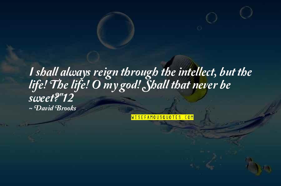 Burdain Quotes By David Brooks: I shall always reign through the intellect, but